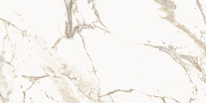 BIEN Calacatta Oro 120x60 бежевый полированная фото