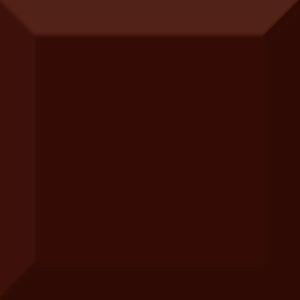 Плитка Monocolor Marron Biselado Brillo 10x10 фото