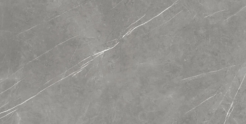 Керамогранит 610015000665 Forte dei Marmi Elegant Grey Lapp 80x160
