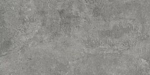 TAU Ceramica Devon Gray Nat. 60x120 фото
