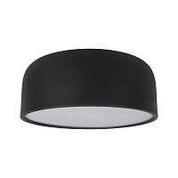 Детский светильник LOFT IT 10201/350 Black фото
