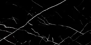 Керамогранит Art&Natura Ceramica Marmo Nero Marquina 60x120 фото