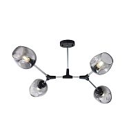 Потолочный светильник Freya FR5006CL-04B фото