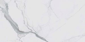 Керамогранит Rex Ceramiche I Classici Di Rex 746592 I Classici Statuario Glossy Rett 60x120 фото