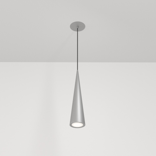 Подвесной светильник Maytoni Technical P318-PL-01-N