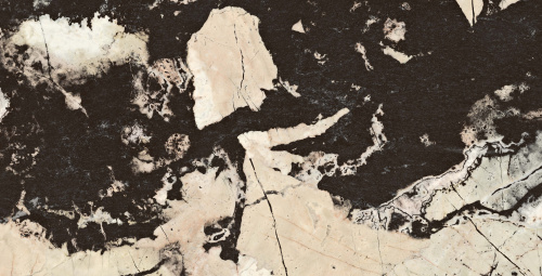 QUA Granite Fenomen 120x60 черный полированная фото 2