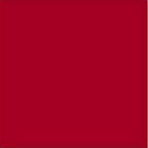 Плитка Rojo Volcan g.148 20x20 фото