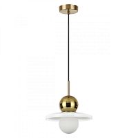 Подвесной светильник Odeon Light 5014/1B фото