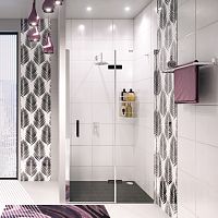 Wasserkraft Aller 10H05RBLACK MATT  Душевая дверь фото