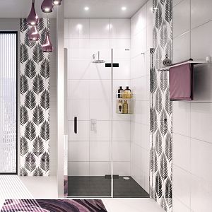 Wasserkraft Aller 10H05RBLACK MATT  Душевая дверь фото