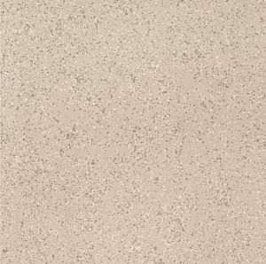 Керамогранит Imola Ceramica Parade PRDE 60A RM 60x60 фото