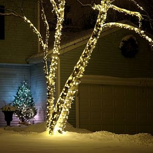 Светодиодная нить Eurosvet 400-102 теплый белый 20м IP65 фото