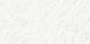 Керамогранит Ariostea Marmi Classici PK612555 Bianco Carrara Levigato Silk ret 60x120 фото