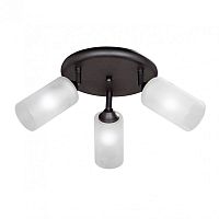 Спот Vitaluce V4294-1/3PL фото