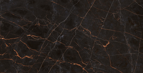 QUA Granite Fuego 120x60 черный полированная фото 4