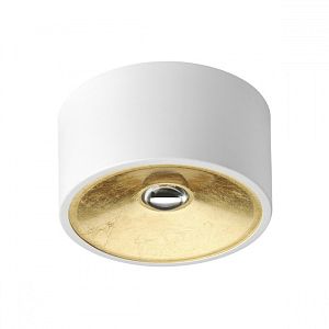 Накладной светильник Odeon Light 3892/1C фото