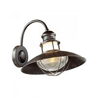 Светильник настенный Odeon Light 4164/1W фото