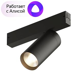 Светильник на шине Denkirs DK8020-BK фото