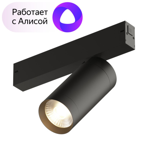 Светильник на шине Denkirs DK8020-BK