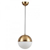 Подвесной светильник Odeon Light 4960/1A фото