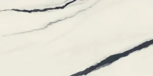 Керамогранит 610015000656 Forte dei Marmi Panda White Rett Cer 60x120 фото