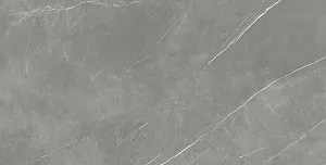 Керамогранит 610010002710 Forte dei Marmi Elegant Grey Rett 80x160 фото