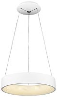 Подвесной светильник WERTMARK WE412.01.003 фото