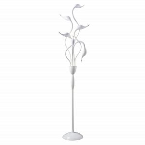 Торшер Lightstar 751766 фото