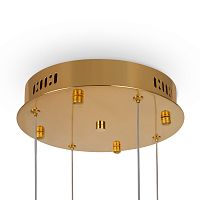 База накладная Freya FR5257A-L4G фото