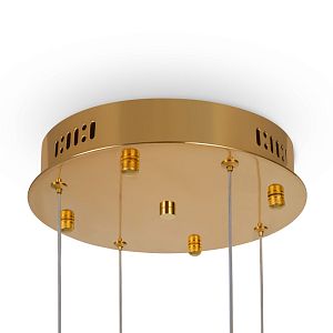 База накладная Freya FR5257A-L4G фото