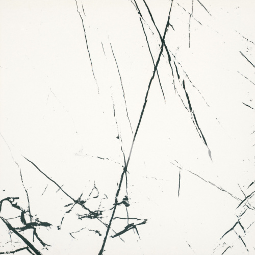 BIEN Agatha White 60x60 белый полированная фото 4