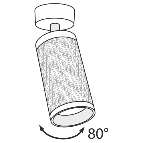 Потолочный светильник Maytoni Technical C034CL-01G фото 2