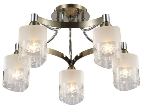Потолочный светильник Freya FR5475CL-05CH