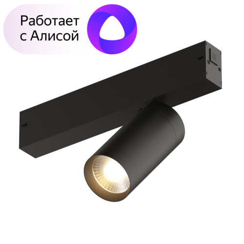 Светильник на шине Denkirs DK8010-BK