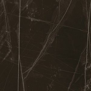 Керамогранит Lafaenza Ceramica TREX 60N LP Black 60x60 фото