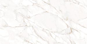 Керамогранит Ocean Ceramic India Infinity Statuario Wox Gold 60х120 фото