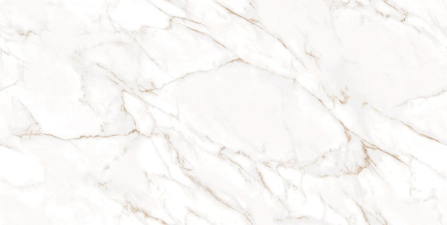 Керамогранит Ocean Ceramic India Infinity Statuario Wox Gold 60х120