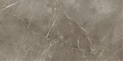 Керамогранит Italon Stellaris 610015000688 Tuscania Grey Lux 80х160