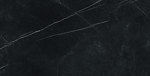 Керамогранит 610015000667 Forte dei Marmi Elegant Black Lapp 80x160 фото