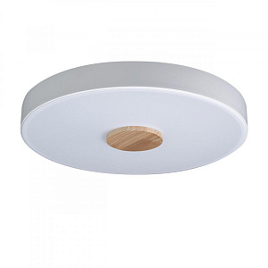 Накладной светильник LOFT IT 10003/24 White фото