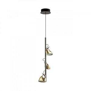 Подвесной светильник Odeon Light 5002/13L фото