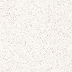 Глазурованный керамогранит Casalgrande Padana Terrazzo 11950041 White 60х60 фото