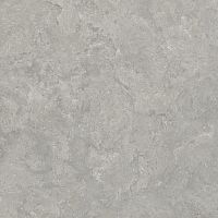 Керамогранит Creto 8163 Shell DG 60х60 фото
