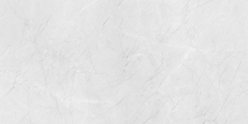 QUA Granite Mood Grey 120x60 серый полированная фото 4