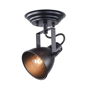 Спот Freya FR4276-CW-01-B фото