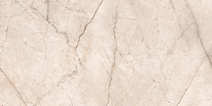 Керамогранит Ocean-Ceramic Silver Root Pearl 80х160 фото