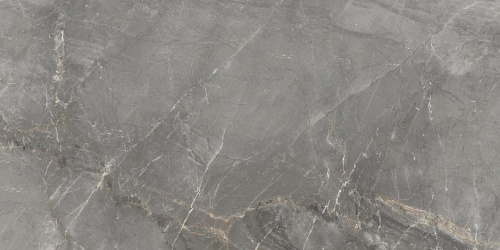 Керамогранит Cerdomus Sybil 83346 Silver Levigato 60x120