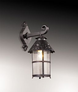 Светильник настенный Odeon Light 2313/1W фото