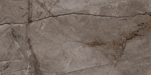 BIEN Root Ash 120x60 серый полированная фото 3