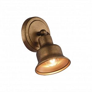 Спот Favourite 2024-1W фото